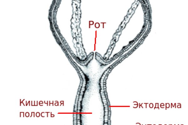 Кракен ссылка работает