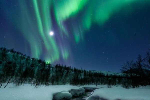 Ссылка на сайт кракен в тор браузере
