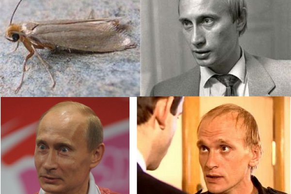 Как войти в кракен
